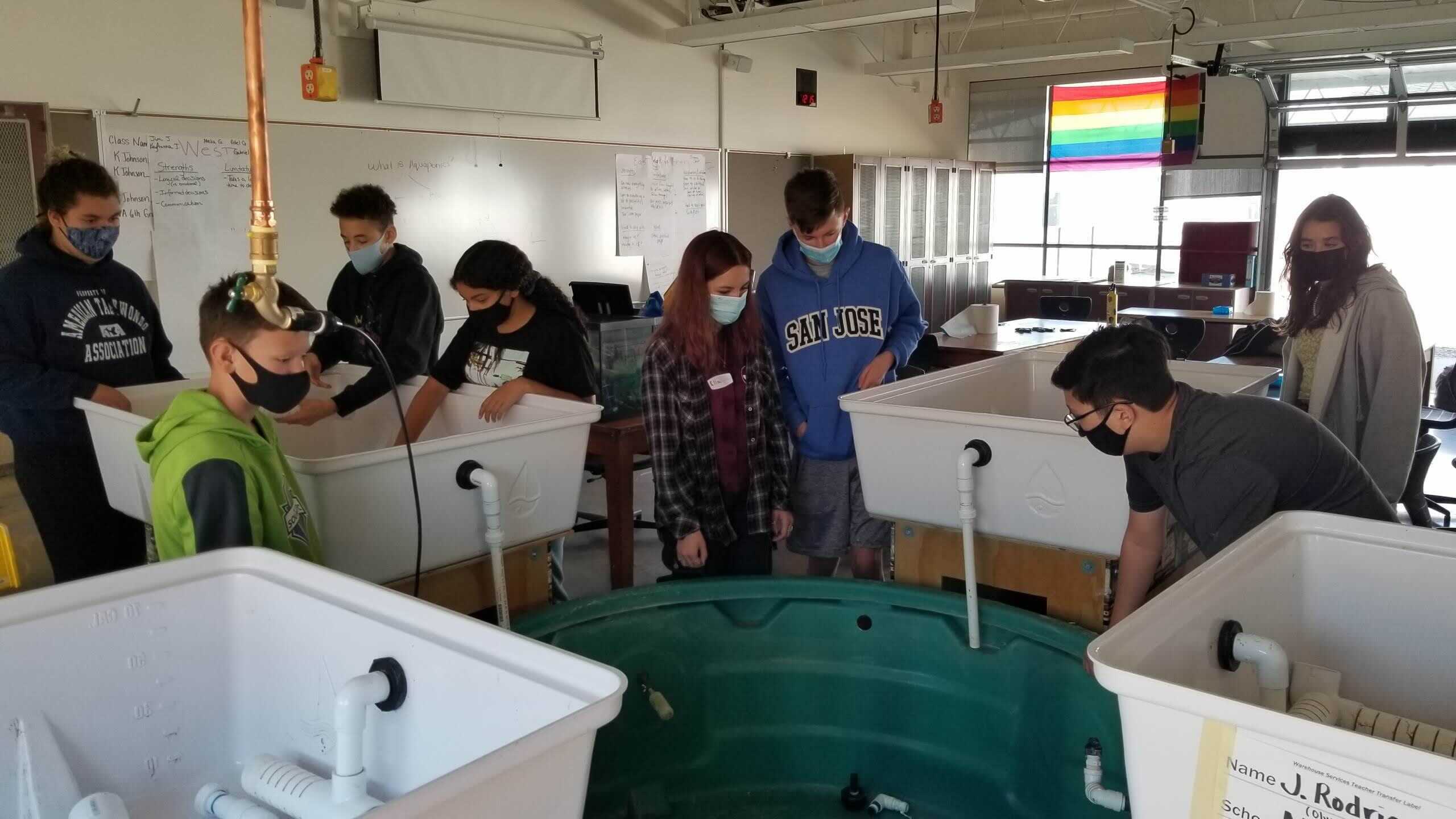 Students wearing masks looking over receptacles filled with water to study science
