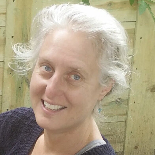 Headshot of Lisa Simon