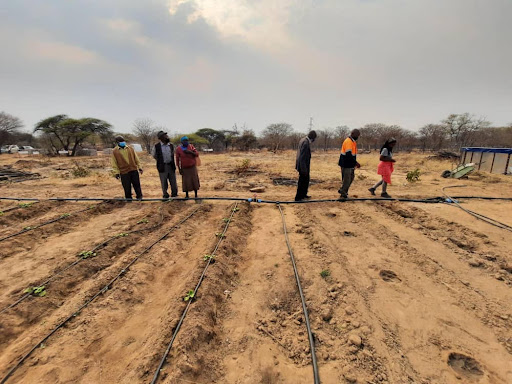 Six people walking the lines of an irrigation system in an open plot of land