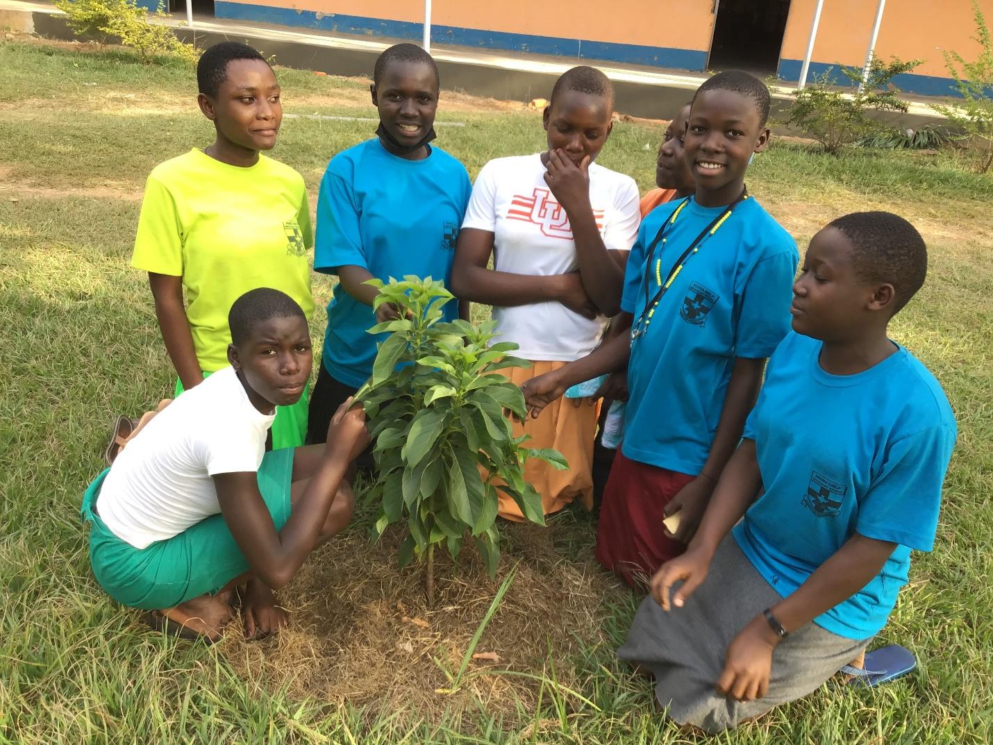 Seven students kneeling around a small tree.
