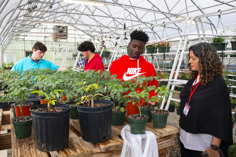 Three male students tend to a number of plants inside of a greenhouse, while an adult woman wearing a red lanyard looks on.