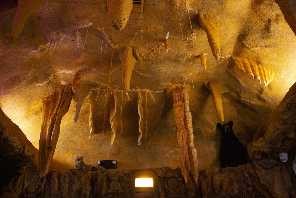 A replica of a cave can be seen, including stalactites and replicas of a coyote and a bear. This serves as the entrance to an elementary school.