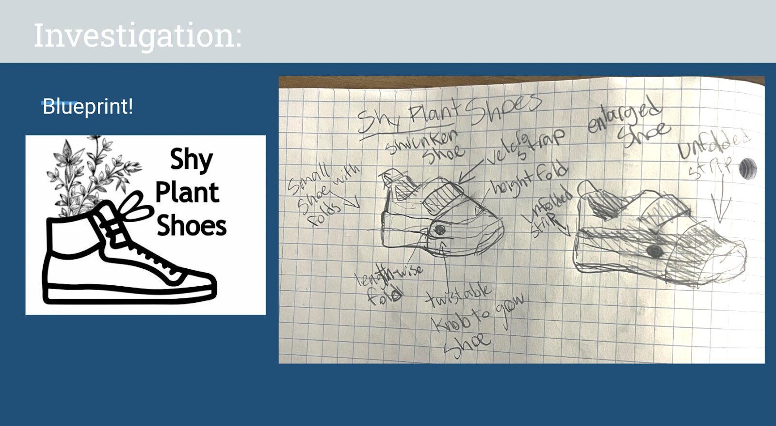 A screenshot of a slide showing the blueprint for Shy Plant Shoes.