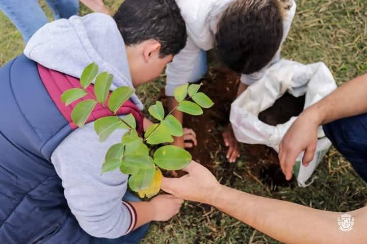 Three students place a plant into the ground. 