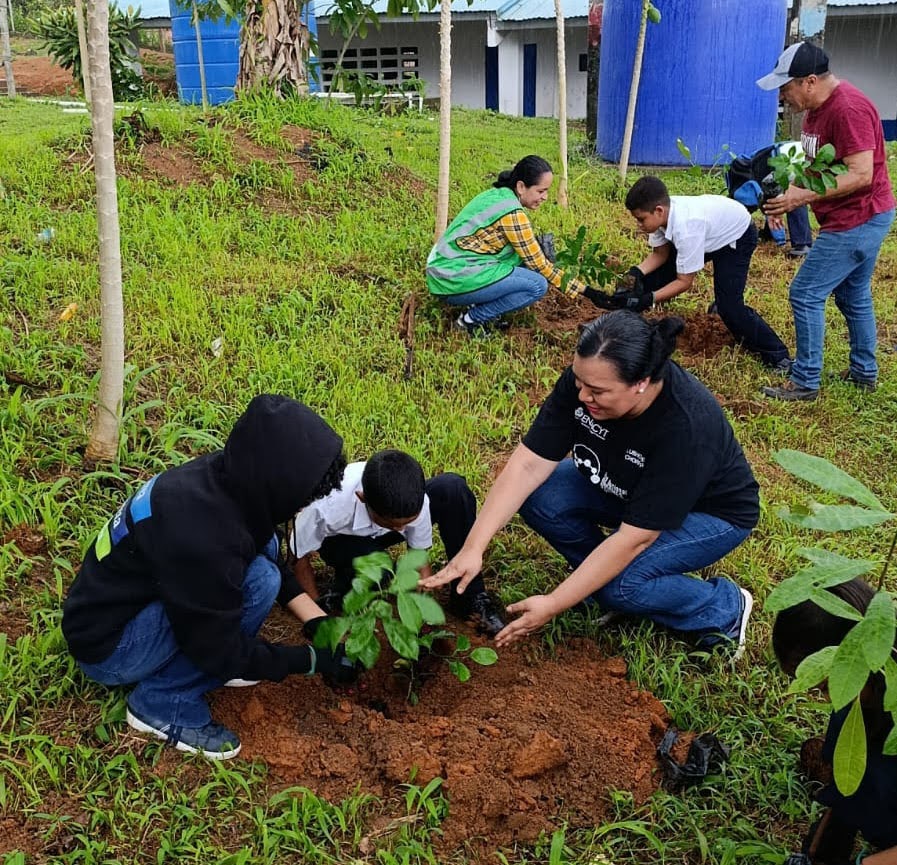 Students holding a small sapling as they place it into a hole in the ground.