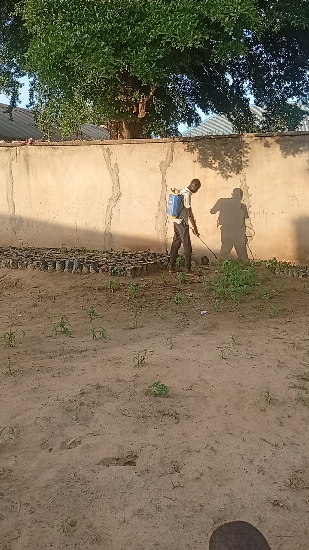 Student attending the community garden.