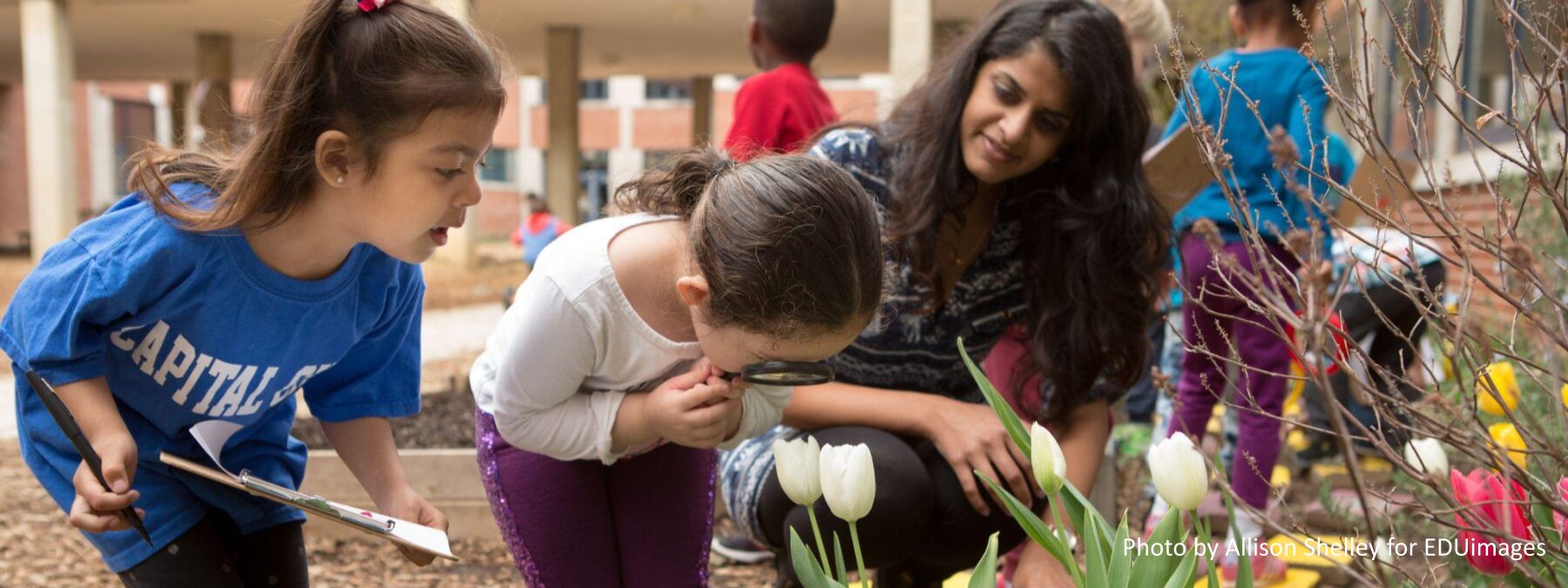 An image of preschool students look for signs of spring in a school garden.