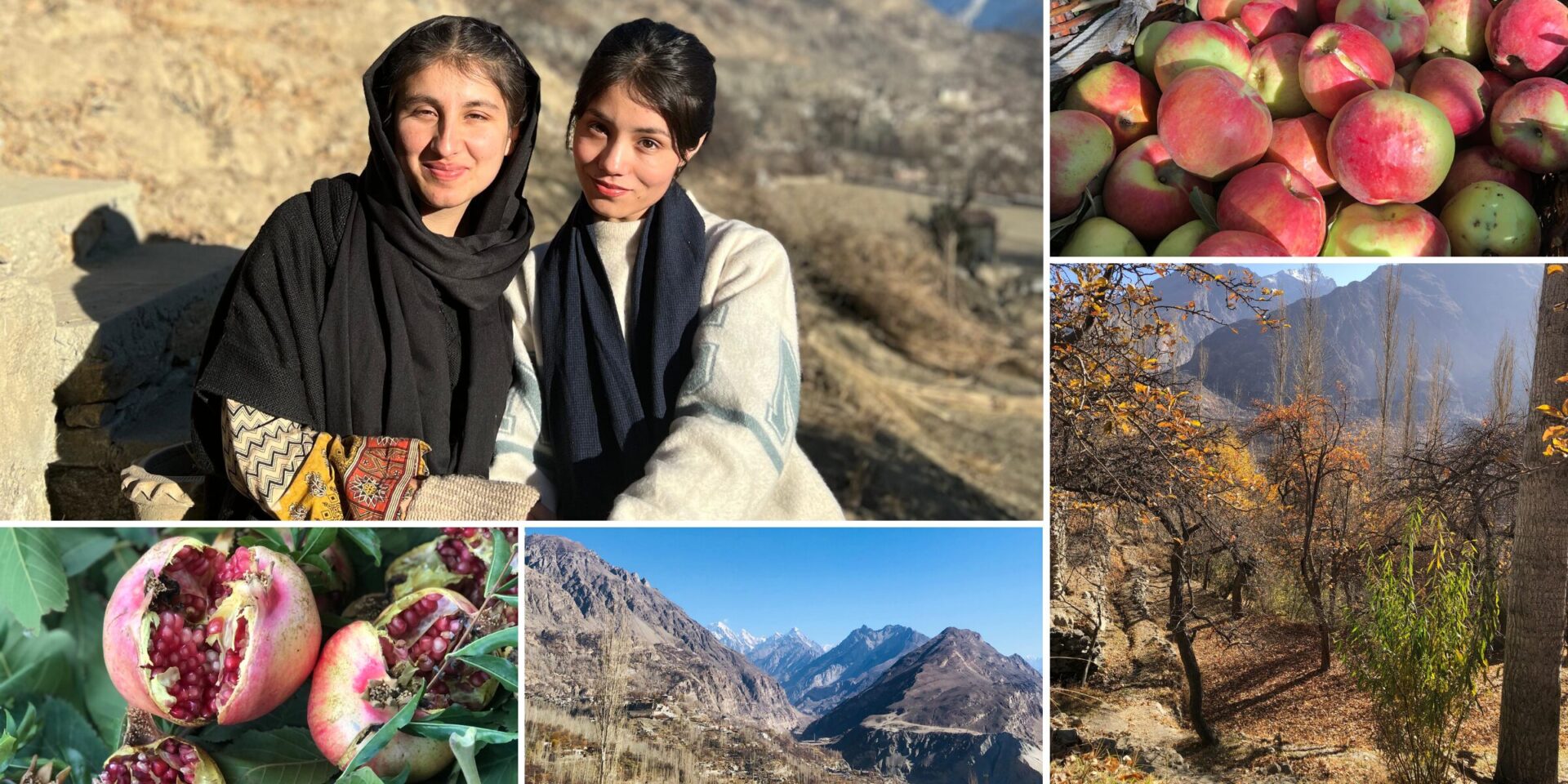 A collage of images from Gilgit-Baltistan, from top left to bottom right: Zubia and Laraib, apples, pomegranates, the mountains, and a valley.