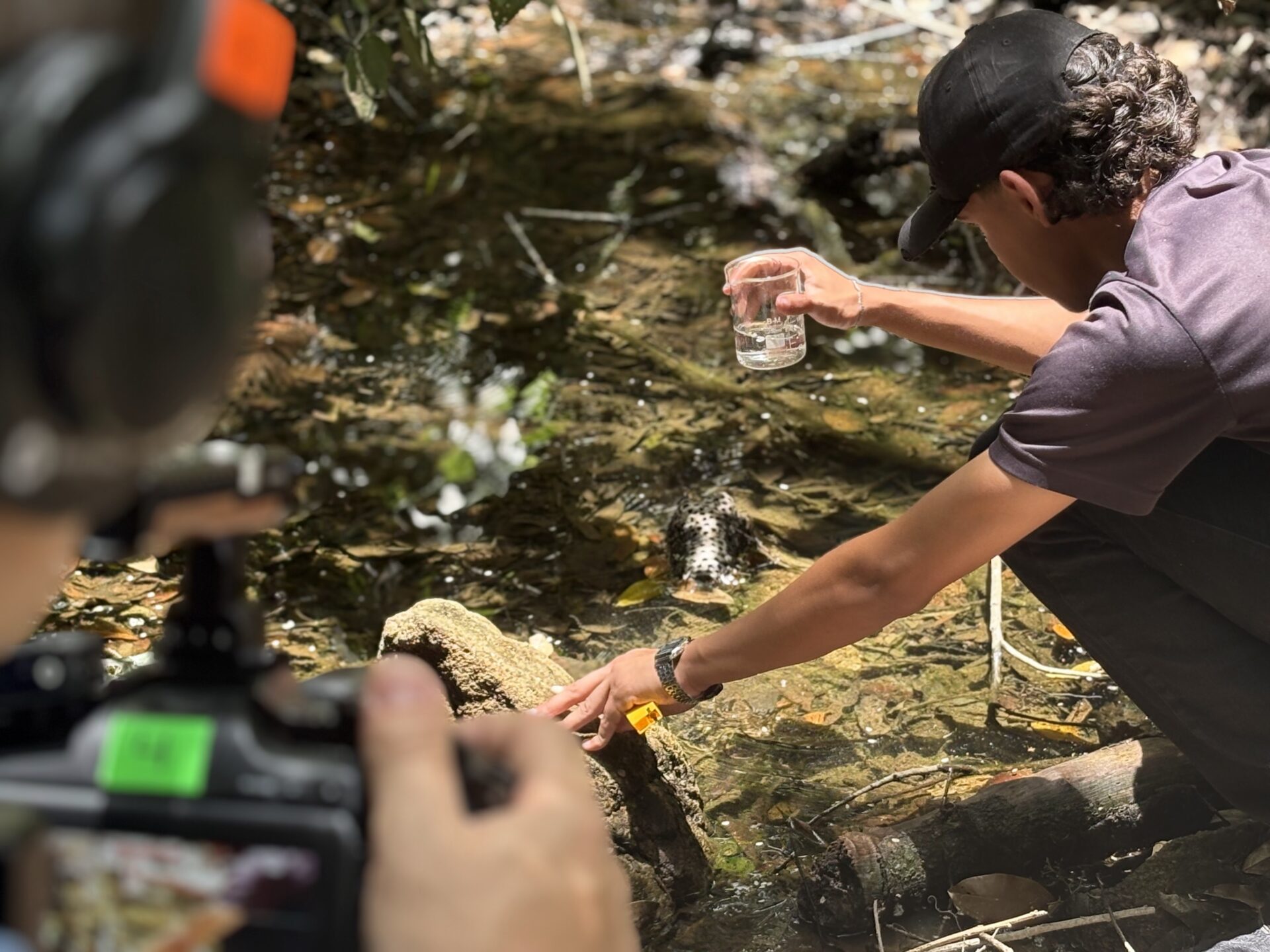 A student crouches down to scoop a sample of pond water into a beaker
