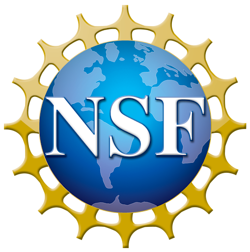 NSF logo with the NSF acronym in front of a globe that has gold spokes emerging from behind it